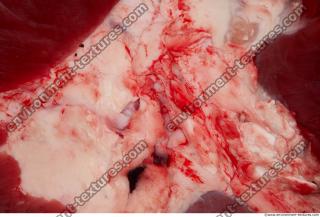 Photo Textures of RAW Beef Meat